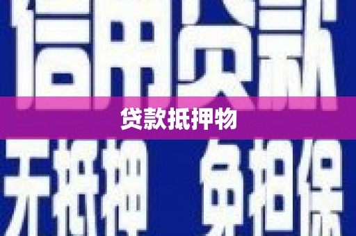 岱山贷款抵押物