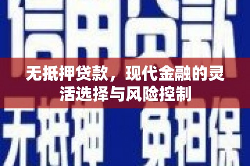 岱山无抵押贷款，现代金融的灵活选择与风险控制
