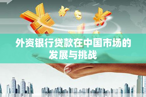 岱山外资银行贷款在中国市场的发展与挑战