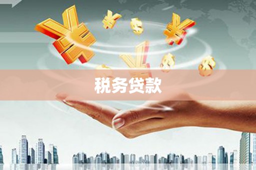 岱山税务贷款