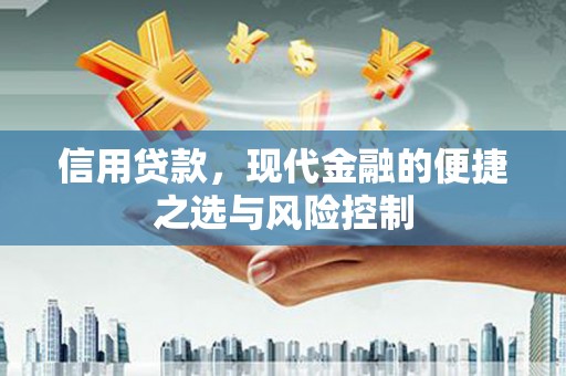 岱山信用贷款，现代金融的便捷之选与风险控制