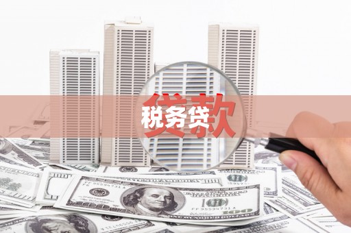 岱山税务贷