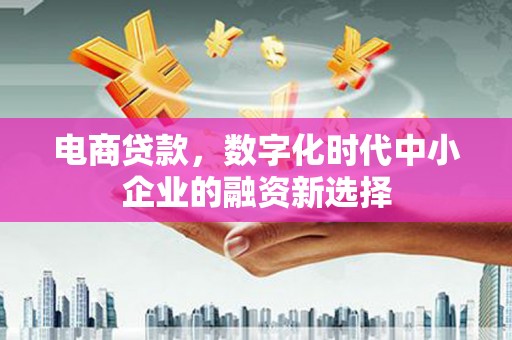 岱山电商贷款，数字化时代中小企业的融资新选择