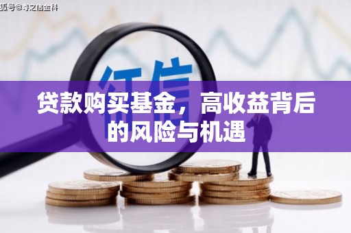岱山贷款购买基金，高收益背后的风险与机遇