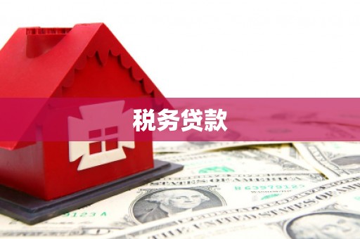 岱山税务贷款
