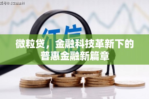 岱山微粒贷，金融科技革新下的普惠金融新篇章