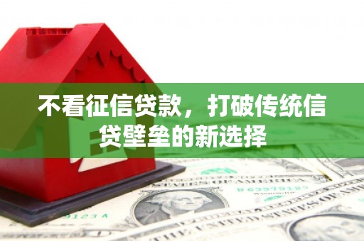 岱山不看征信贷款，打破传统信贷壁垒的新选择