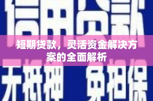 岱山短期贷款，灵活资金解决方案的全面解析