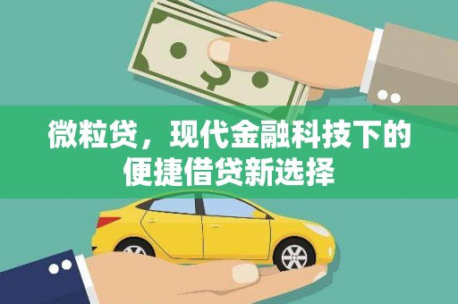 岱山微粒贷，现代金融科技下的便捷借贷新选择