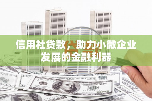 岱山信用社贷款，助力小微企业发展的金融利器