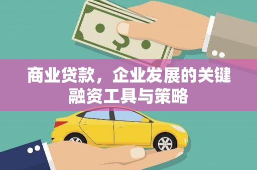 岱山商业贷款，企业发展的关键融资工具与策略
