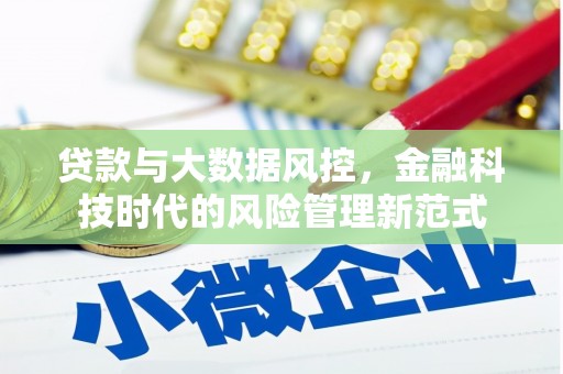 岱山贷款与大数据风控，金融科技时代的风险管理新范式