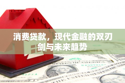 岱山消费贷款，现代金融的双刃剑与未来趋势