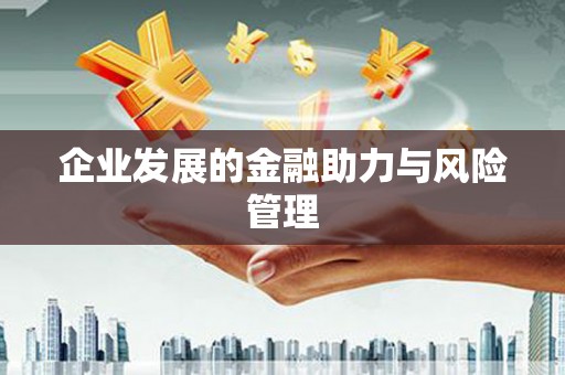 岱山企业发展的金融助力与风险管理