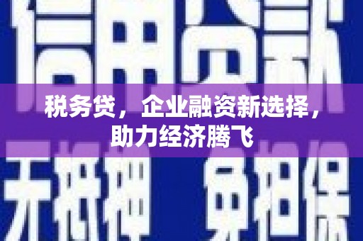 岱山税务贷，企业融资新选择，助力经济腾飞