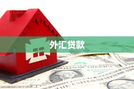 岱山外汇贷款