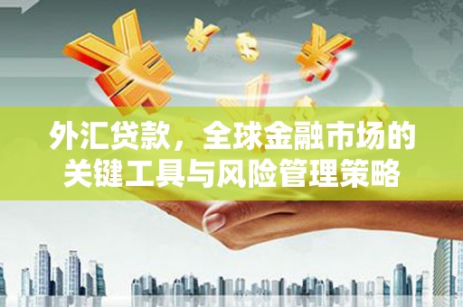 岱山外汇贷款，全球金融市场的关键工具与风险管理策略