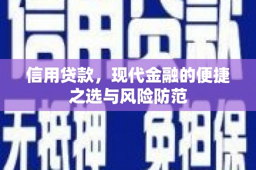 岱山信用贷款，现代金融的便捷之选与风险防范
