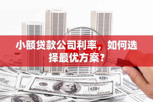 岱山小额贷款公司利率，如何选择最优方案？