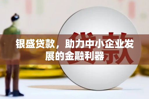 岱山银盛贷款，助力中小企业发展的金融利器