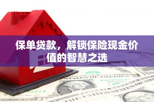 岱山保单贷款，解锁保险现金价值的智慧之选