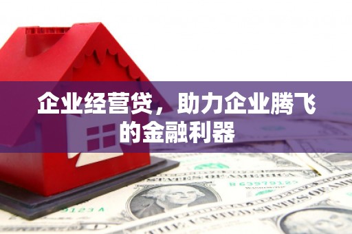 岱山企业经营贷，助力企业腾飞的金融利器