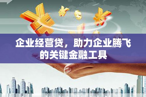 岱山企业经营贷，助力企业腾飞的关键金融工具
