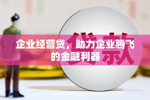 岱山企业经营贷，助力企业腾飞的金融利器