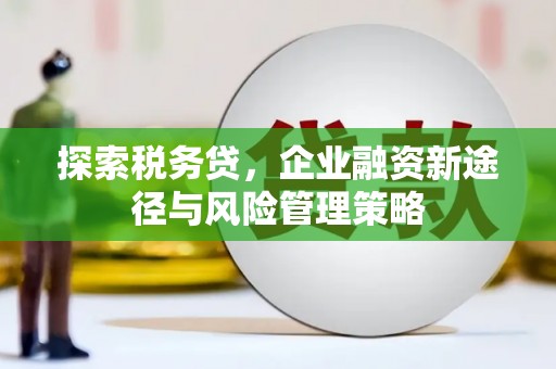 岱山探索税务贷，企业融资新途径与风险管理策略