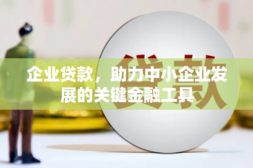 岱山企业贷款，助力中小企业发展的关键金融工具