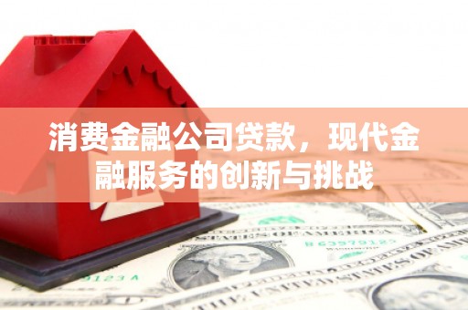 岱山消费金融公司贷款，现代金融服务的创新与挑战