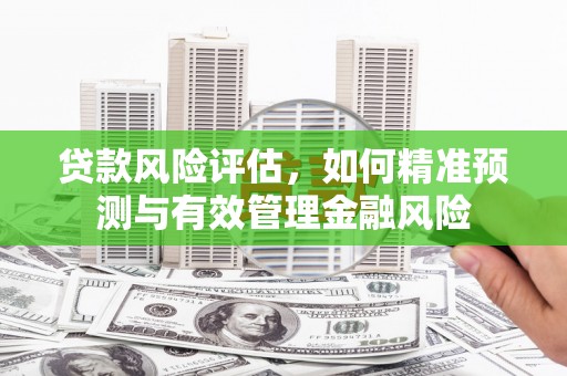 岱山贷款风险评估，如何精准预测与有效管理金融风险