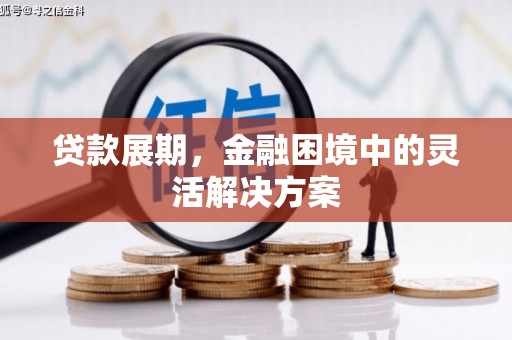 岱山贷款展期，金融困境中的灵活解决方案