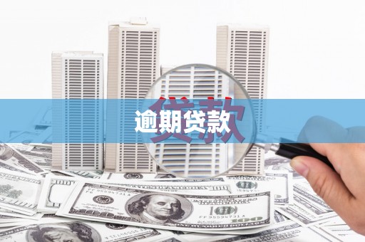 岱山逾期贷款