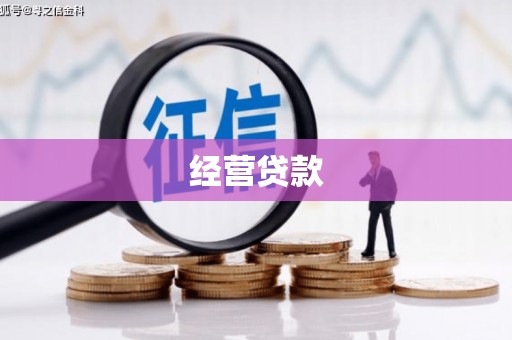 岱山经营贷款