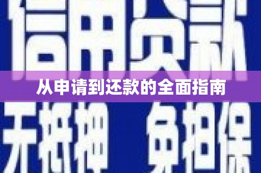 岱山从申请到还款的全面指南