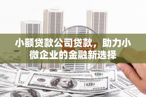 岱山小额贷款公司贷款，助力小微企业的金融新选择