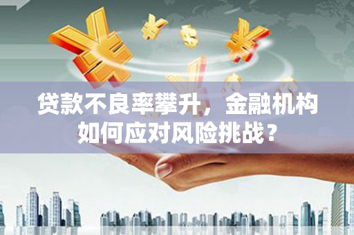 岱山贷款不良率攀升，金融机构如何应对风险挑战？