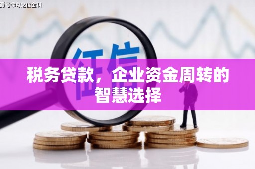 岱山税务贷款，企业资金周转的智慧选择