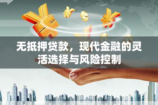 岱山无抵押贷款，现代金融的灵活选择与风险控制
