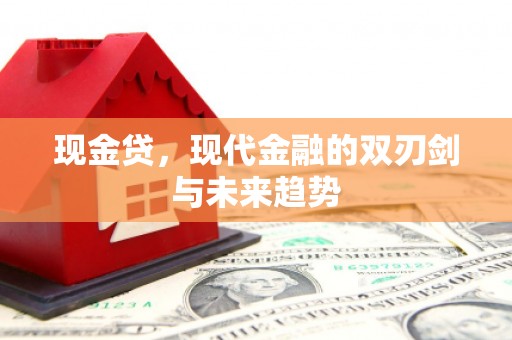 岱山现金贷，现代金融的双刃剑与未来趋势