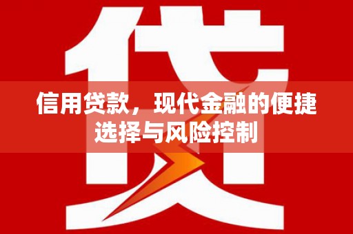 岱山信用贷款，现代金融的便捷选择与风险控制