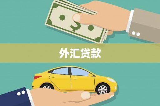 岱山外汇贷款