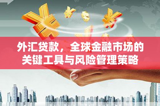岱山外汇贷款，全球金融市场的关键工具与风险管理策略