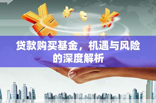 岱山贷款购买基金，机遇与风险的深度解析