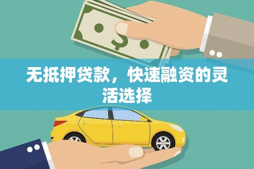 岱山无抵押贷款，快速融资的灵活选择