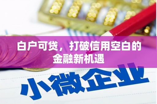 岱山白户可贷，打破信用空白的金融新机遇