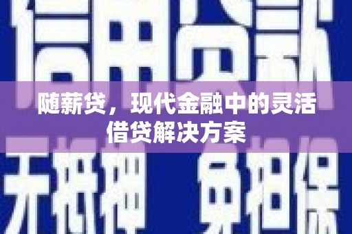 岱山随薪贷，现代金融中的灵活借贷解决方案