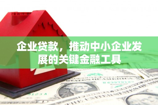 岱山企业贷款，推动中小企业发展的关键金融工具