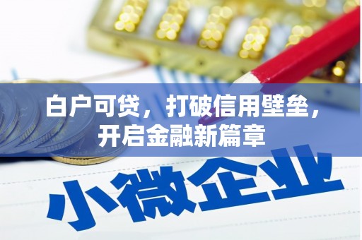 岱山白户可贷，打破信用壁垒，开启金融新篇章